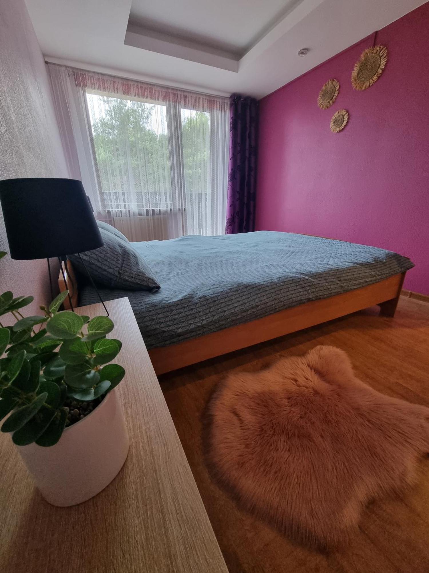 Apartment Kursi Kolka Exteriör bild